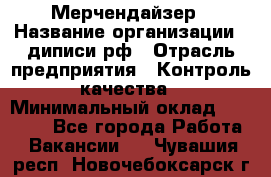 Мерчендайзер › Название организации ­ диписи.рф › Отрасль предприятия ­ Контроль качества › Минимальный оклад ­ 20 000 - Все города Работа » Вакансии   . Чувашия респ.,Новочебоксарск г.